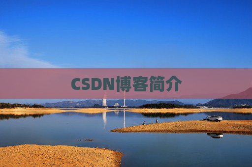 CSDN博客简介